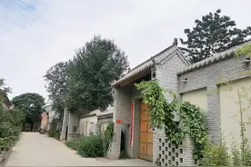「乡村振兴看新乡」花开封丘满枝香图片