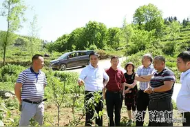 赵贡桥到关岭自治县调研督导脱贫攻坚和重大项目建设情况图片
