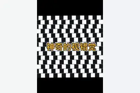 我的眼睛“欺骗”了我？ 神奇的视错觉图片