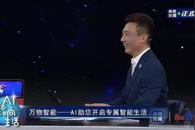 引央视主播康辉大笑的度晓晓，是个只会吹彩虹屁的AI助手吗？图片
