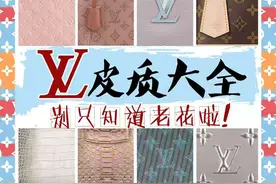LV材质你只知道老花？那也太out了图片