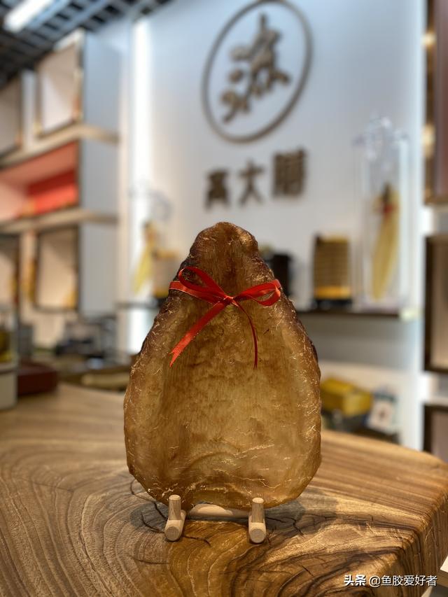 鱼胶是不是花胶 2026年鱼胶是不是花胶的一种