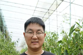 拼出希望的田野：90后留学归国投身农产品电商，四年后年入千万图片