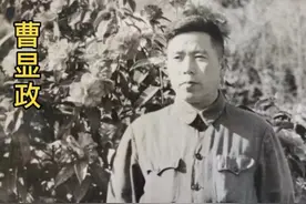 你不知道的“昆明犬”的故事图片
