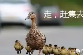 沿着遥远的记忆，赶一场家乡临沭的大集图片