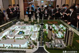 1.1万+买合肥！纯刚需买房必看！都在这里了......图片
