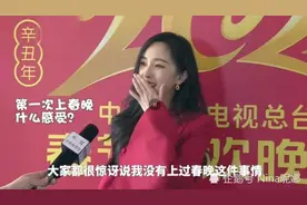 央视春晚美女幂幂惊艳亮相图片