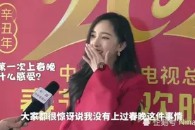 央视春晚美女幂幂惊艳亮相图片