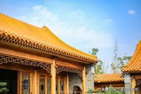 江苏一座金光闪闪的四合院，用金丝楠木打造，一千多平花费2亿元图片