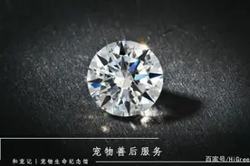 和宠记：宠物骨灰可以制作成钻石图片
