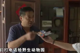 村民半夜报警看到“老虎”？！民警全副武装赶到……它很委屈图片