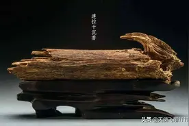 沉香救命，众香之首、药中之王的沉香，自古就是预防流行病的主力图片
