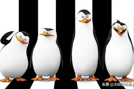 马达加斯加的企鹅图片