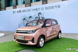 售2.98万起，最大续航300km，新款雷丁芒果正式上市图片