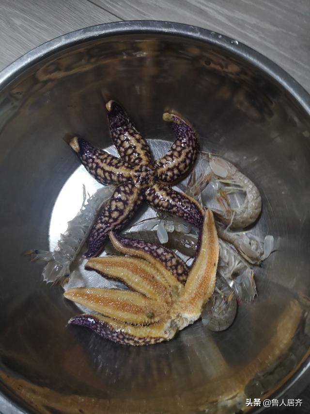 海星能和花胶一齐煲吗 2026年海星花胶可以一起煮吗