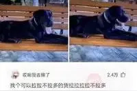 网友幽默神回复合集，笑的我满地找奥力给图片