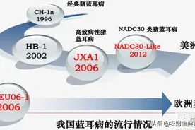 2020要想养好掌上明“猪”，一定要防好会祸害全群的蓝耳病图片