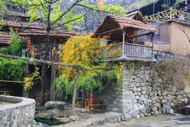 农村户口含金量更高？山东允许进城农民返乡落户图片
