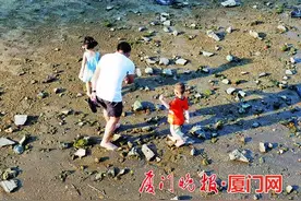海边遛娃，最好别玩手机！专业人士教您怎么在沙滩、滩涂安全游玩图片