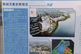 震惊！华润丁香湖已被“内定”？图片