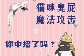 养喵人｜猫咪臭屁魔法攻击，你中招了吗图片