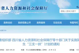 第四轮来了！四川每年将招募超1200名高校毕业生参与图片