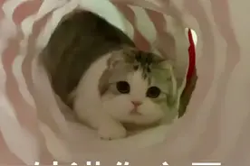 情侣专用表情包：撩女朋友撩男朋友表情包图片