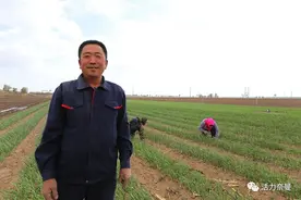 【围观】十亩试验田，老张种出新花样图片