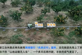 央视报道网商银行金融新服务 台州农机商家成「先享后付」首批使用者图片