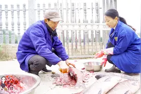 农村小月用10斤大青鱼做腊鱼，简单易学，制作方法全教给您视频封面