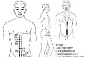 冲脉走向的男女之别，为什么八脉交会穴可以通奇经八脉呢？图片
