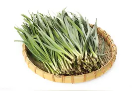 拿手菜：韭菜炒蛤蜊——白绿相间 味鲜肉嫩 谢谢关注图片