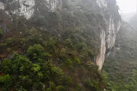 为了抓获毒贩，她掉下30米崖坡却没有出声图片