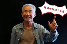 陶渊明那五个儿子，一个比一个懒，一个比一个笨图片