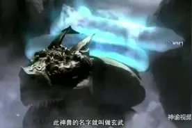 四大神兽之玄武图片