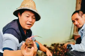 收购土鸡发现新“商机”，广西河池男子：“帮老乡把种的农产品卖出去，这一直是我的梦想”图片