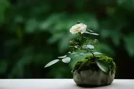 世故，很多时候是必要的图片