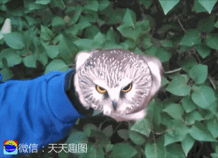 笑不停：“老铁，你玩够了没…”图片