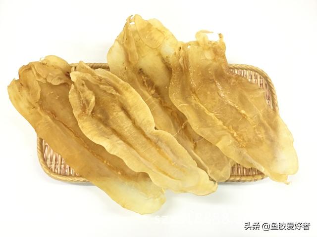 南美蝴蝶花胶售价 2026年南美蝴蝶花胶售价表