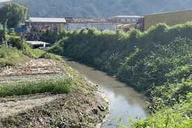 调查 | 买了别墅却不敢开窗，只因院墙外有它图片