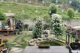 花园女主人：看遍世界繁华，不如跟她种花去图片