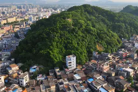 广东一处豪华酒店“烂尾”20年，复活无望，被称“野生动物园”图片
