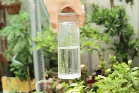 不可思议的科学现象，水杯里的水倒不出来，你知道原理吗视频封面