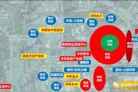 3大板块支撑沣东楼市！自贸产业园板块价值几何？图片