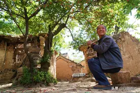 山西农村发现70年生的野生樱桃树，果实累累，10万元不卖图片