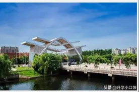 第37届中学生物理竞赛，安徽省一等奖，获奖名单统计图片