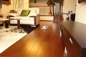 太多人不铺实木地板了，都流行自热地板，冬天发热40℃，地暖省了图片