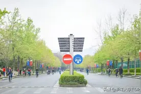 春日求是园，遇见最美的你图片