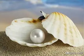 2021年是辛丑寡妇年，“寡年遇到牛，年景似珍珠”，啥意思？图片