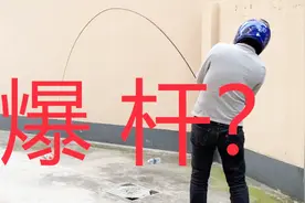 垂钓节目疯狂推荐的双宝鲫鱼竿是否暗藏猫腻？视频封面